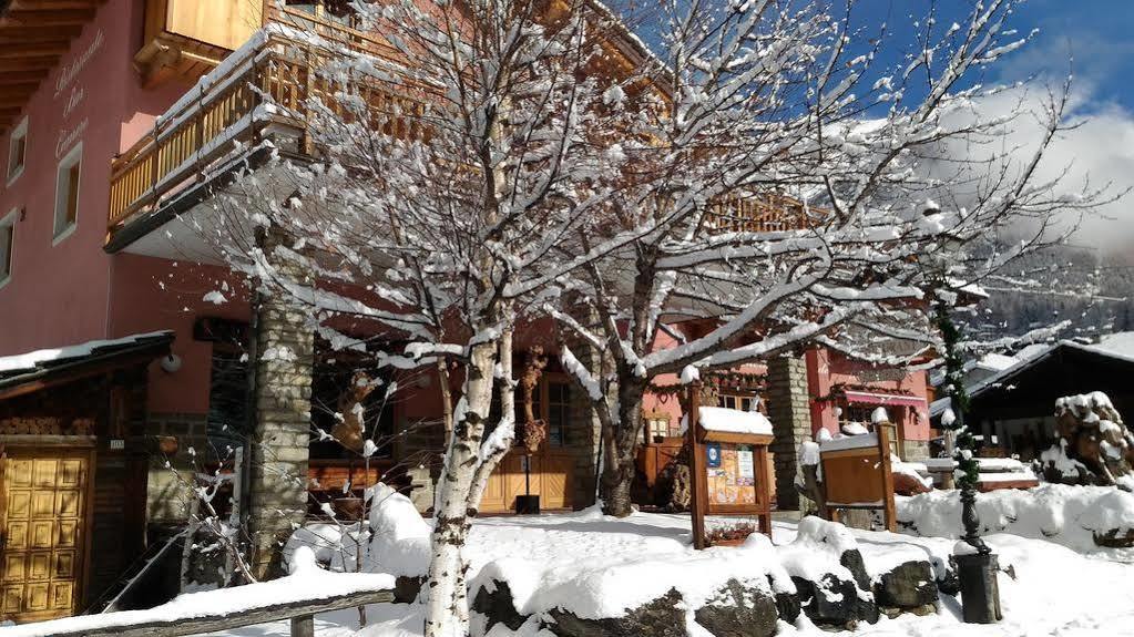 Hibou Chambres - Cogne Exterior foto
