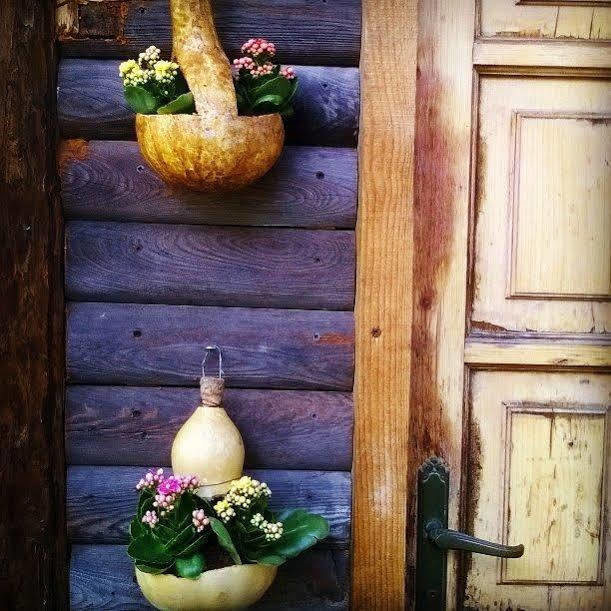 Hibou Chambres - Cogne Exterior foto
